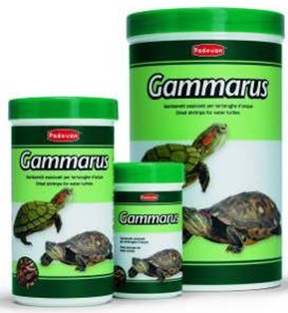 Gammarus – Корм для черепах и аквариумных рыб.